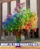 faggot tree.jpg