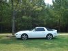 white supra new paint 002.jpg