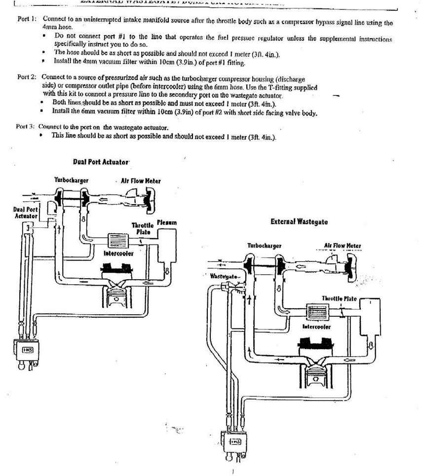 p11705_1.jpg