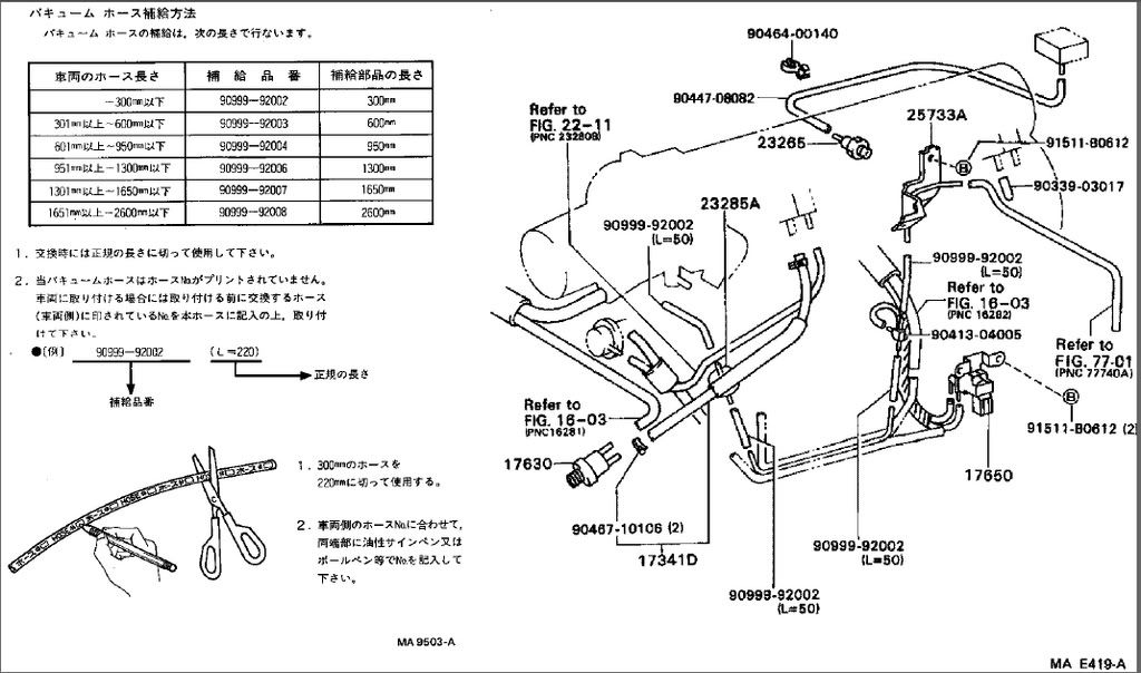 p720742_1.jpg